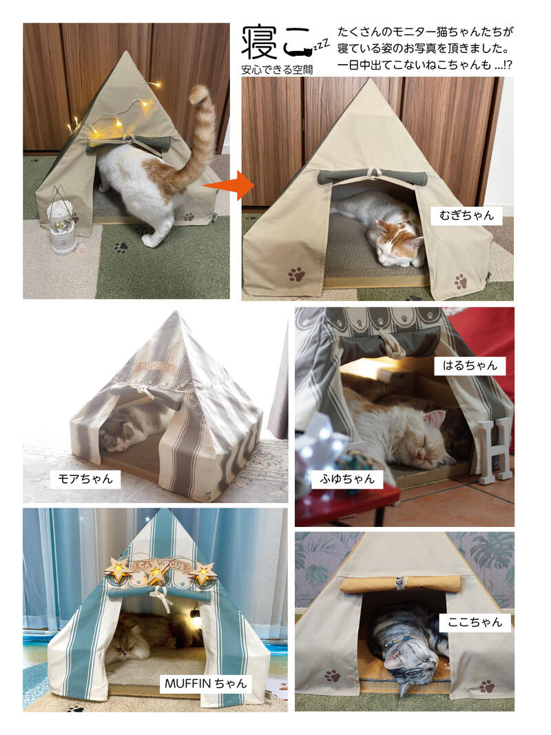 楽天市場】【同梱専用】猫のテント Rugtasu タイルラグ ジョイント