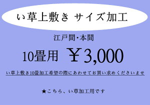 �y������s�z�u�����v�]�ˊԁE�{�ԃC�[�W�[�I�[�_�[�@����10���~���J�[�y�b�g�T�C�Y���H