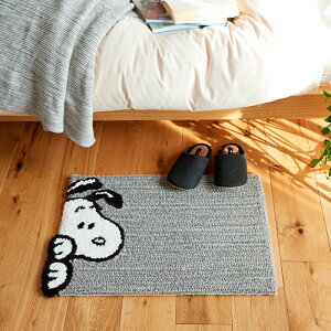 Xk[s[fUC Vvŉ IWi}bg 45×65