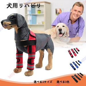 pnr ybgpPApi ֐߃veN^[ pT|[^[ GT|[^[ ܎ pEFA rߖh~ V h~ ߉\yz