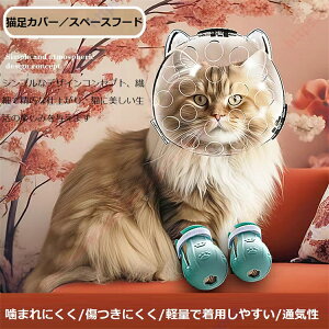 ۋʃLbgt[h(t[h+t@[Jo[)݂h~ ƂłołCłO[~Oł VvȃfUCRZvg @ׂŃfP[gȎdオ ݂