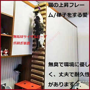 L̓oRt[/͂Đ̂D NtgO[hTCU[vő̖؍ރTCU[v́A܌퐬ʕALŊɗD͂ϋvɐڑ邱Ƃł