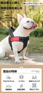 yʐpƋ̐VȃAbvO[hyʐpƋ̌yʉ݌v͌yւȗsy݁Alȕ̌AiCޗA˃xgAyʉޗApAقȂ钅p̈S{