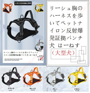 [Ṽn[lXăybgiC˔؋p` ́[˂i^j ˃e[vt  Ď yʂƏ_炩Dꂽ͖C ʋC bV ȒP 