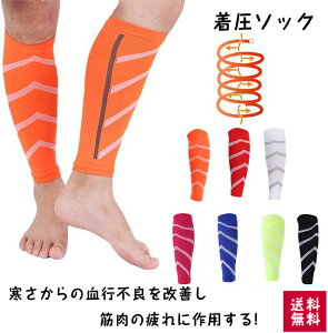 \bNX C g fB[X jp Y ӂ͂T|[^[ v[g   eXgbLO yz