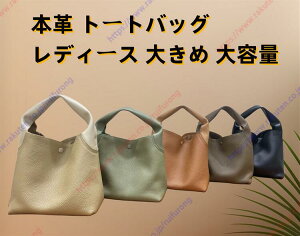 Y fB[X e h  傫 {vU[ t@Xi[t A ʋ ʊw o syz