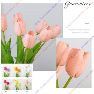 lHϗtA u[P ͂Ȃ VNԂj v[g CeA CeA A[gt[ ԑ v[g Mtg 蕨 JXj a    EFf