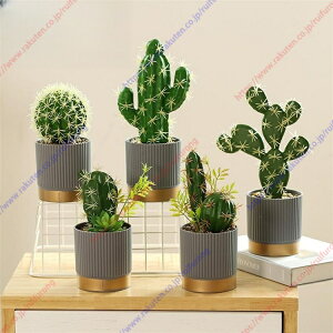  ԑ lHϗtA u[P j v[g CeA   iXKplHϗtAlHA CeA  b炸 sv ItBX z[ fR[V l