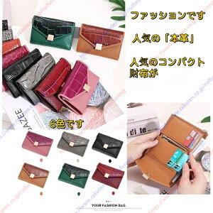 z fB[Xe g₷ {v܂蒷z Dꔖ^ v xgtCo^Cf[̓̃v[głyz