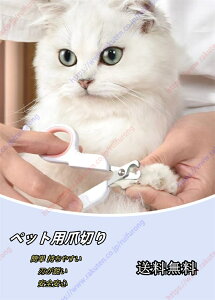 ybgpܐ؂ L ܐ؂ XgXȂXpbƐ؂ybgpܐ؂ ybgp߂q L ^p ȒP ₷ lCPA SS yz