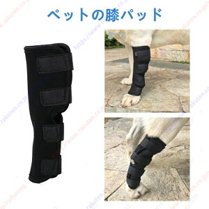  L ybgpT|[^[ veN^[ یp ʋC y e pŒ ̕ی 둫͊⏕ ی rߖh~ ~ۉ ֐ߕیyz