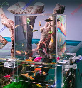    JWA y v[g qǂ eq NG[V ANAE   Mы Ϗ܋ C    yz