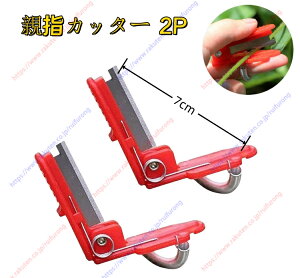 2_ZbgewJb^[ ؎npewiCt tBK[Jb^[ ؎n |n  Sgp  ʕ nJb^[ ʕnJb^[ K[fjOc[ |pi y