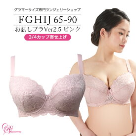 【ポイント最大47倍！ お買い物マラソン期間中】ブラジャー　大きいサイズ　お試しブラVer2.5ピンク　3/4カップ・寄せ上げ（SP-205） レディース 女性 インナー 下着 【サイズ展開】Fカップ Gカップ Hカップ Iカップ Jカップ（FGHIJカップ） アンダー 65 70 75 80 85 90