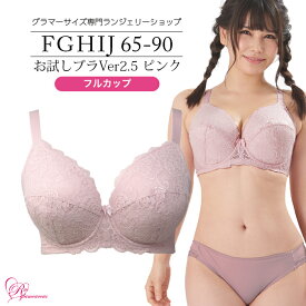 ブラジャー　大きいサイズ　お試しブラVer2.5ピンク　フルカップ（SP-206） レディース 女性 インナー 下着 【サイズ展開】Fカップ Gカップ Hカップ Iカップ Jカップ（FGHIJカップ） アンダー 65 70 75 80 85 90