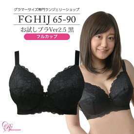 ブラジャー　大きいサイズ　お試しブラVer2.5黒　フルカップ（SP-206） レディース 女性 インナー 下着 【サイズ展開】Fカップ Gカップ Hカップ Iカップ Jカップ（FGHIJカップ） アンダー 65 70 75 80 85 90