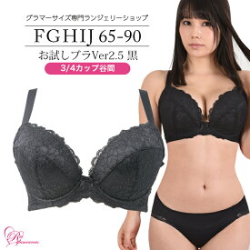 【ポイント最大47倍！ お買い物マラソン期間中】ブラジャー　大きいサイズ　お試しブラVer2.5黒　3/4カップ・谷間（SP-246） レディース 女性 インナー 下着 Fカップ Gカップ Hカップ Iカップ Jカップ（FGHIJカップ） アンダー 65 70 75 80 85 90