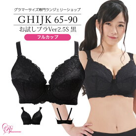 ブラジャー　大きいサイズ　お試しブラVer2.5S 黒 フルカップ（SP-249） レディース 女性 インナー 下着 【サイズ展開】Gカップ Hカップ Iカップ Jカップ Kカップ（GHIJKカップ） アンダー 65 70 75 80 85 90