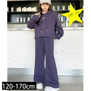 yLbY XEFbgZbgAbvzt[ht p[J[  t[ht X|[cEFA WjA q t H OV ^ _Xߑ ㉺Zbg W[W 120cm 130cm 140cm 150cm 160cm 170cm 