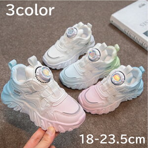 yLbYXj[J[ _CXj[J[z^C _炩 jOV[Y WjA ̎q j̎q qC AEghA tBbg ʋC ɗD JWA ₷ _X 