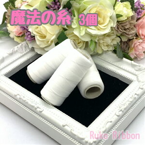 nhChf @̎ E[[ 300D ޗ 3