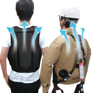 uC@BR-10000@tn[lXCi[pbg@󒲃xXg@Ci[Xy[T[@ACXxXg