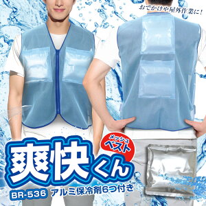 ۗ܃xXg yu񃁃bVxXg(A~ۗ6t)BR-536z pxXg ۗ܂6gp