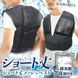 uCyBR-586 V[g䃁bVxXgiA~ۗ4tjzMǑ΍ObYIۗxXgAN[xXgAACXxXg A~ۗ