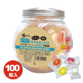 賞味期限：2026年3月末　 ブレイン【BR-A100-U塩飴ボトルミックス(100粒入) 4味ミックス 】塩飴 塩あめ 熱中症対策に