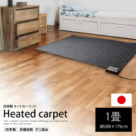 ホットカーペット【ホットカーペット 1畳用本体 BR-20001 日本製 (約)88×176cm】電気カーペット 冬物 家…
