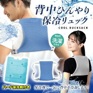 2026年モデル 保冷剤を入れてしっかり冷やせる 【BR-527 背中ひんやり保冷リュック（※ハード保冷剤1個付…