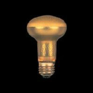 【在庫あり】 東芝 ペット用低誘虫電球 MUSI 110V 40W PETA