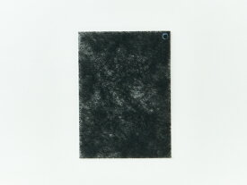 楽天市場 フィルター Fse251k001の通販