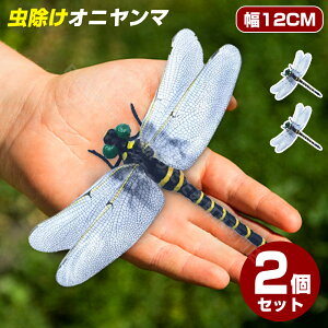 _2ZbgI^Ij} 12cm ɂ 傫 L[z_[ u[` rbO 12cm tBMAL[z_[ g{ x    ͌^ AEghA Lv EH[LO I
