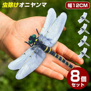 _8ZbgI^Ij} 12cm ɂ 傫 L[z_[ u[` rbO 12cm tBMAL[z_[ g{ x    ͌^ AEghA Lv EH[LO I