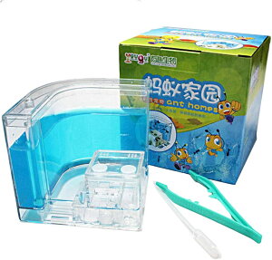 アリ飼育キット 固形海藻ゲル製巣箱 アリ飼育ケース アリ 仕事/生活飼育の観察 保湿 給水 蟻の巣 ブルー 1個