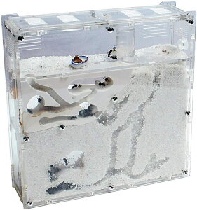 ALbg  ঒ގP[X Ȃώ@Lbg apP[X AZbg(͕ʔ)