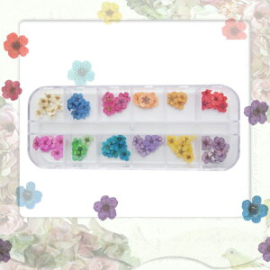 lC@ʖ100`120@hCt[12FZbg