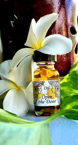 �A���V�F���g�������[�I�C���@�V�����h�A�@Open the Door