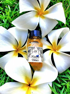 AVFg[IC@Ắw̎V[YxHappy Times@nbs[E^C