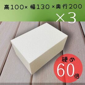 【3SET】発泡スチロール ブロック 100×130×200 白色 60倍 硬め DIY ガーデニング 造形 工作 送料無料