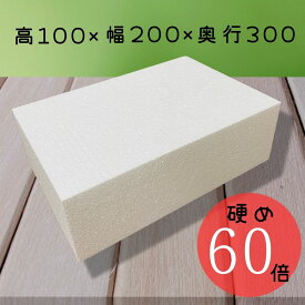 発泡スチロール ブロック 100×200×300 白色 60倍 硬め かたまり DIY ガーデニング 造形 工作 送料無料
