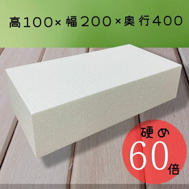 発泡スチロール ブロック 100×200×400 白色 60倍 硬め DIY ガーデニング 造形 工作 送料無料