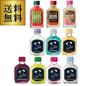 【P3倍】送料無料 クライナーファイグリング + スマショット 10種類 お試し 飲み比べ セット 20ml×10本 リキュール ミニボトル ミニサイズ フレーバードウォッカ ドイツ デンマーク smashot 虎S パーティ【誰でもP3倍は 6/4 20:00 ～ 6/11 1:59まで】