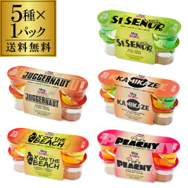 【P3倍】【お試し送料無料】スリングショット 5種セット 5種×3本（計15本） 1本あたり186円(税込) 16度 リキュール ショット飲み クラブ バー イベント パーティー sling shots スリングショット 御中元 お中元 中元【誰でもP3倍は 6/4 20:00 ～ 6/11 1:59まで】