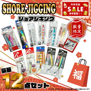  VAWMO 12_Zbg 2026N ʌ WO ނ VAWO ^WO A[ A[