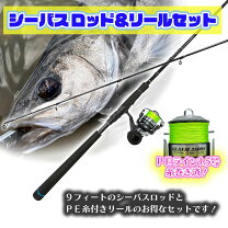 楽天市場】シーバスロッド セット（ロッド・竿本体｜ロッド・竿 