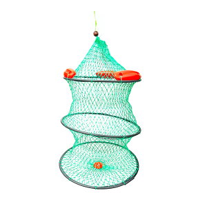 iqTm 킵̃`[uۃXJ 40cm 2i/3i  XJ GT  ނ