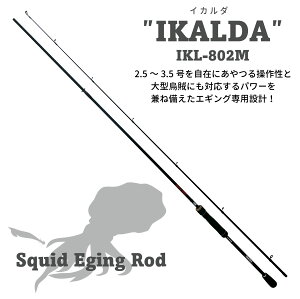 TRH GMObh IKALDA CJ_ IKL-802M 8tB[g GMO GM AICJ CJ RECJ