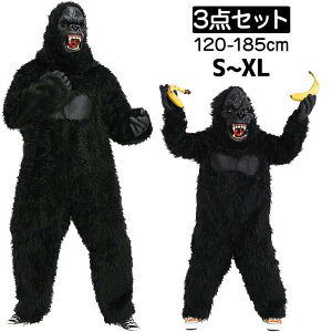 nEB RXv l q  LbY S   3_Zbg b  Jo[I[ eqyA gorilla  LORO  z[ |jp ϑ  w 